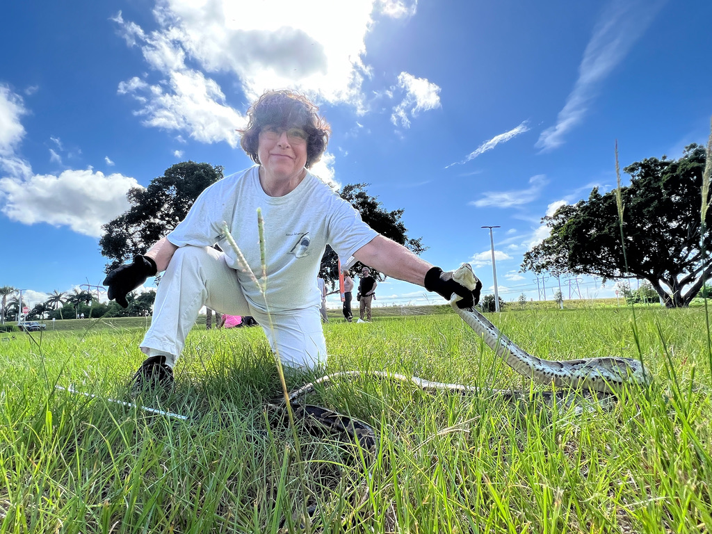 MyFWC's tweet image. Helping to protect the #Everglades ecosystem with the chance to win prizes? That’s a win-win! The 2023 Florida Python Challenge® starts on Friday! flpythonchallenge.org #python #Everglades #invasive #conservation