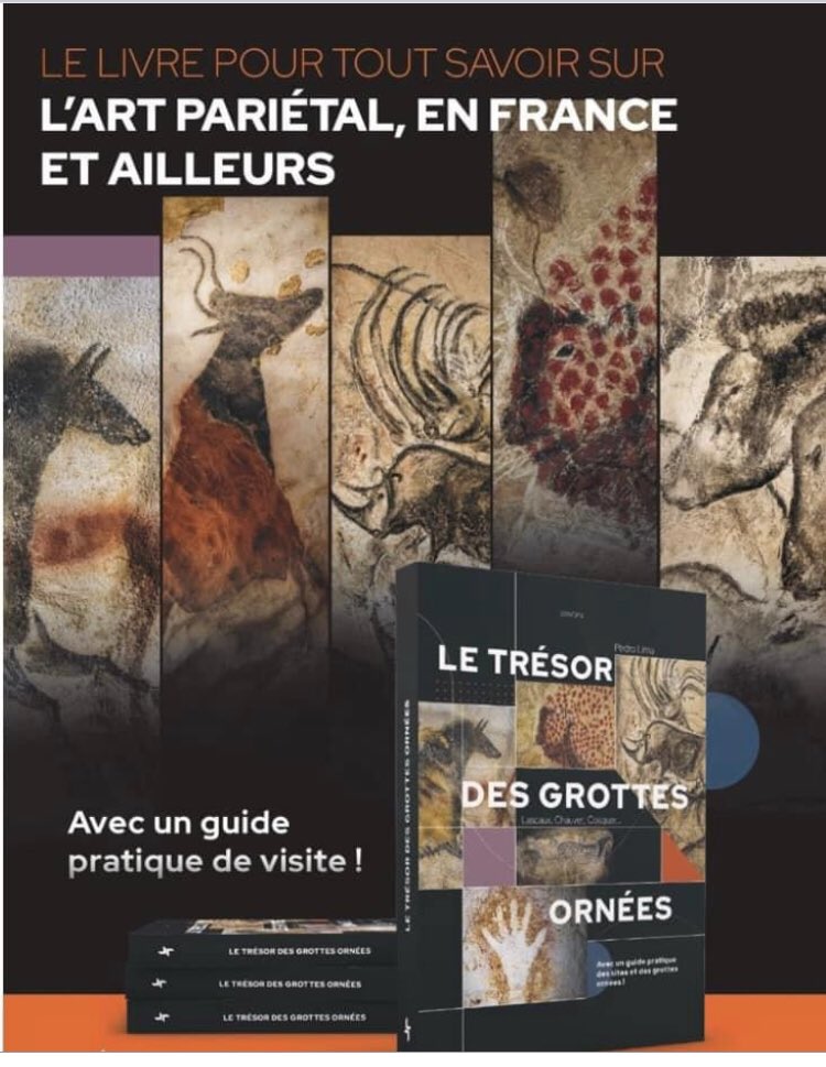 Synops Editions tweet media