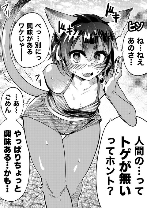 【今日のラクガキ】
好奇心旺盛な猫娘さん。(1/2) 