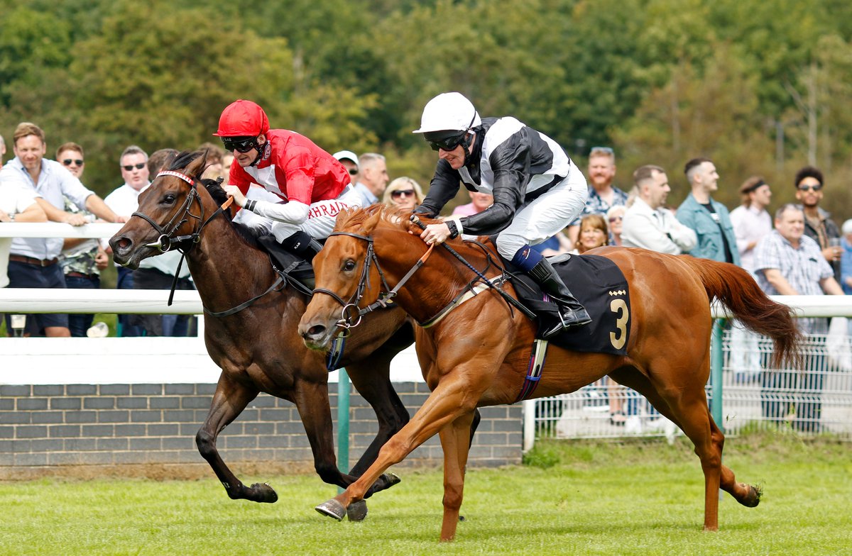 Nottingham Racecourse (@nottsracecourse) on Twitter photo KEY TO COTAI ๐ฅThe Download <a href="/BetRhino/">Rhino.Bet</a> <a href="/BritishEBF/">British EBF</a> Restricted Maiden Fillies Stakes <a href="/liamkeniry/">liam keniry</a> <a href="/edwalkerracing/">Ed Walker Racing</a> KEY TO COTAI ๐ฅThe Download <a href="/BetRhino/">Rhino.Bet</a> <a href="/BritishEBF/">British EBF</a> Restricted Maiden Fillies Stakes <a href="/liamkeniry/">liam keniry</a> <a href="/edwalkerracing/">Ed Walker Racing</a>