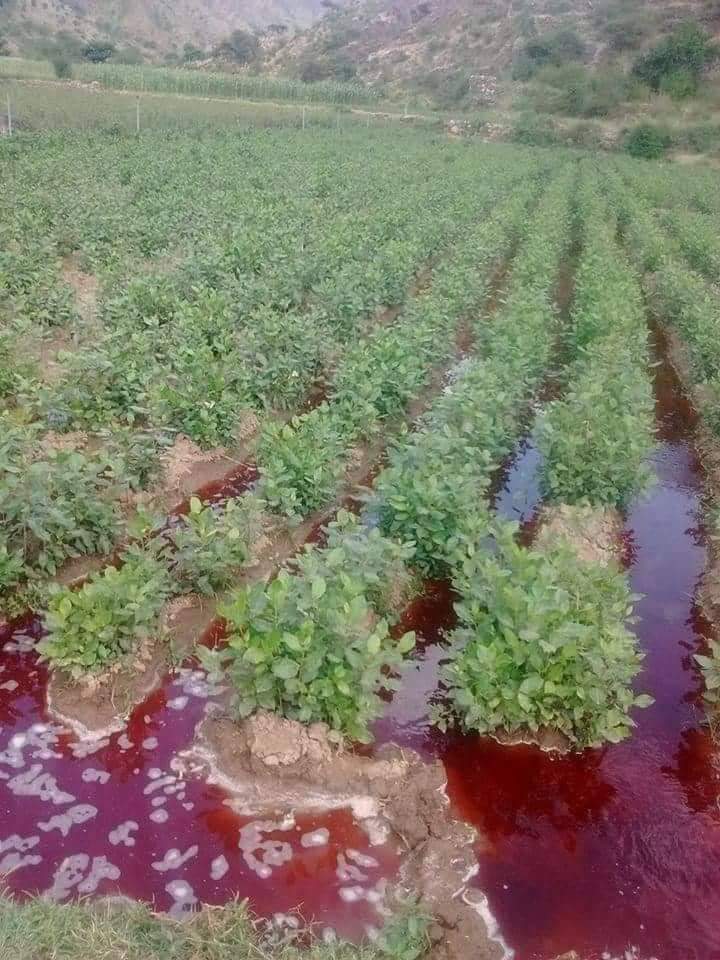 لا ياتينا من اليمن (الشمال) الا الموت ،
اما عبر قذيفة مدفع او مسيّرة او عبر فوهة البندقية او لغم ارضي او تفجير انتحاري او غذاء منتهي الصلاحية او خضروات مسقية بمواد كيماوية قاتلة .