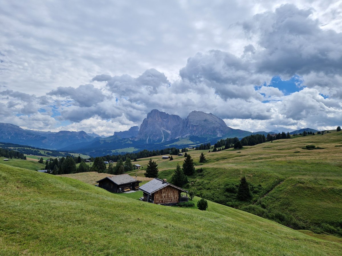 gerrievannoord's tweet photo. #cloudtastic day on #alpedisiuisi, meandering up and over and then down to #siusi, with cows, horses, goats, donkeys, sheep and ducks; 19 k, 400 m up, 1100 m down https://t.co/hqBLpIkjPK