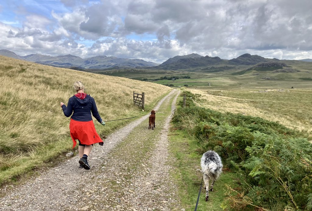 Tim_C_Ingram's tweet image. #Ulpha #Eskdale #LakeDistrict