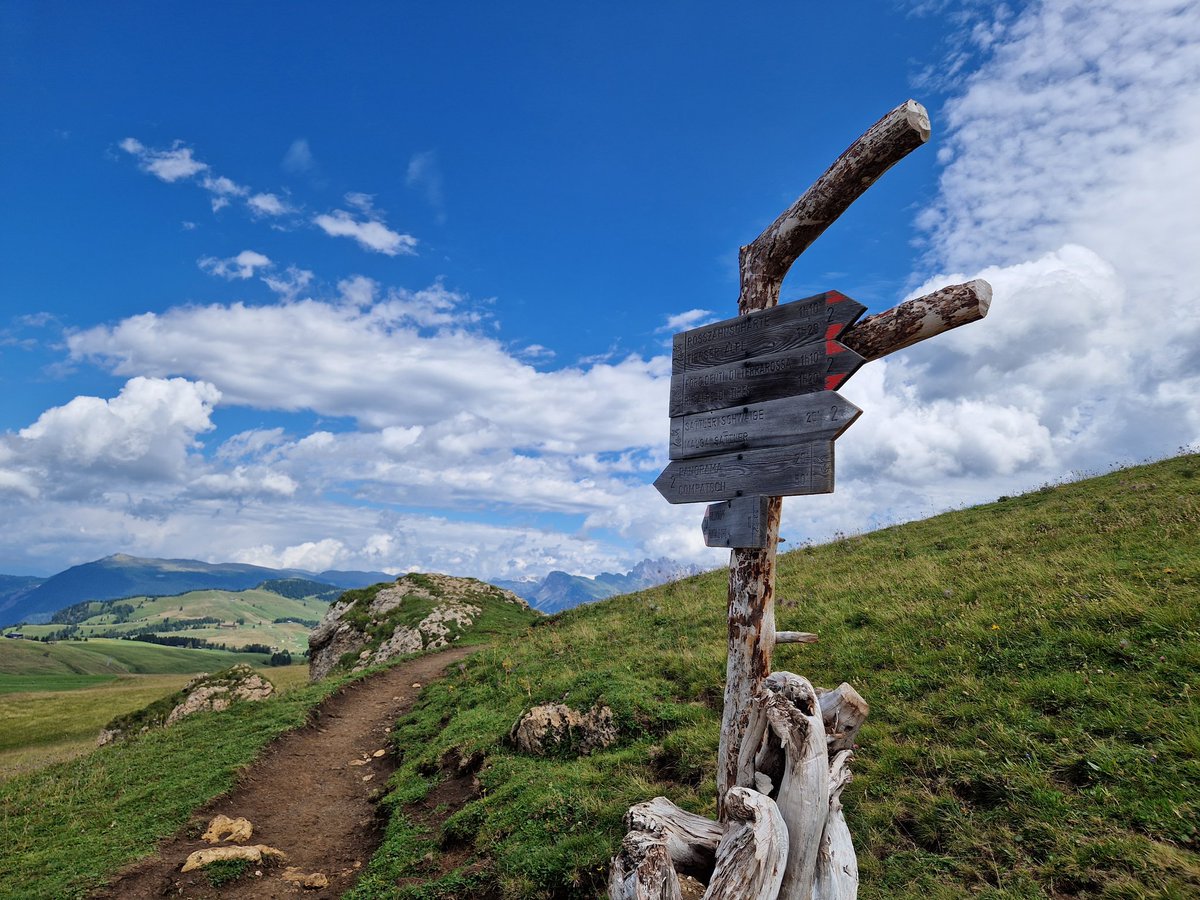 gerrievannoord's tweet photo. #cloudtastic day on #alpedisiuisi, meandering up and over and then down to #siusi, with cows, horses, goats, donkeys, sheep and ducks; 19 k, 400 m up, 1100 m down https://t.co/hqBLpIkjPK