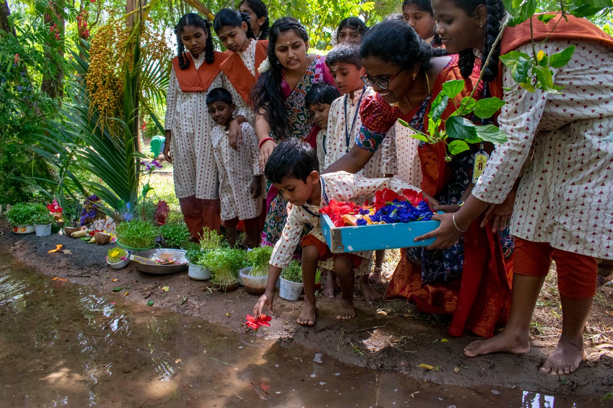 ishafoundation's tweet photo. Isha Vidhya students celebrated Aadi Perukku today, August 3rd, in full splendor. Aadi Perukku is a festival to express our gratitude for the monsoon season and water's life-nourishing properties.

The students were dressed in vibrant traditional clothes as they enthusiastically performed the traditional Kummi dance. This was followed by Mulapari — a ritual in which Navadhanyam (nine different types of grains) are carried to a water body, in the presence of Amman — the goddess of rain.

#AadiPerukku