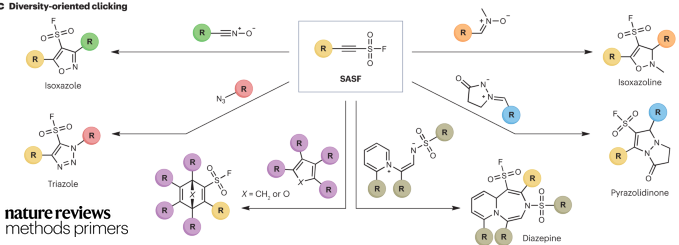 MethodsPrimers's tweet photo. Planning to use sulfur fluoride exchange in your synthesis? Check out this weeks Primer from @joshuahomer_ @HarborSpring @CSHL @ClickMoses K. Barry Sharpless @scrippsresearch 

Free to download in August: https://t.co/lxlAoPOp7q https://t.co/qncBpyJMAr