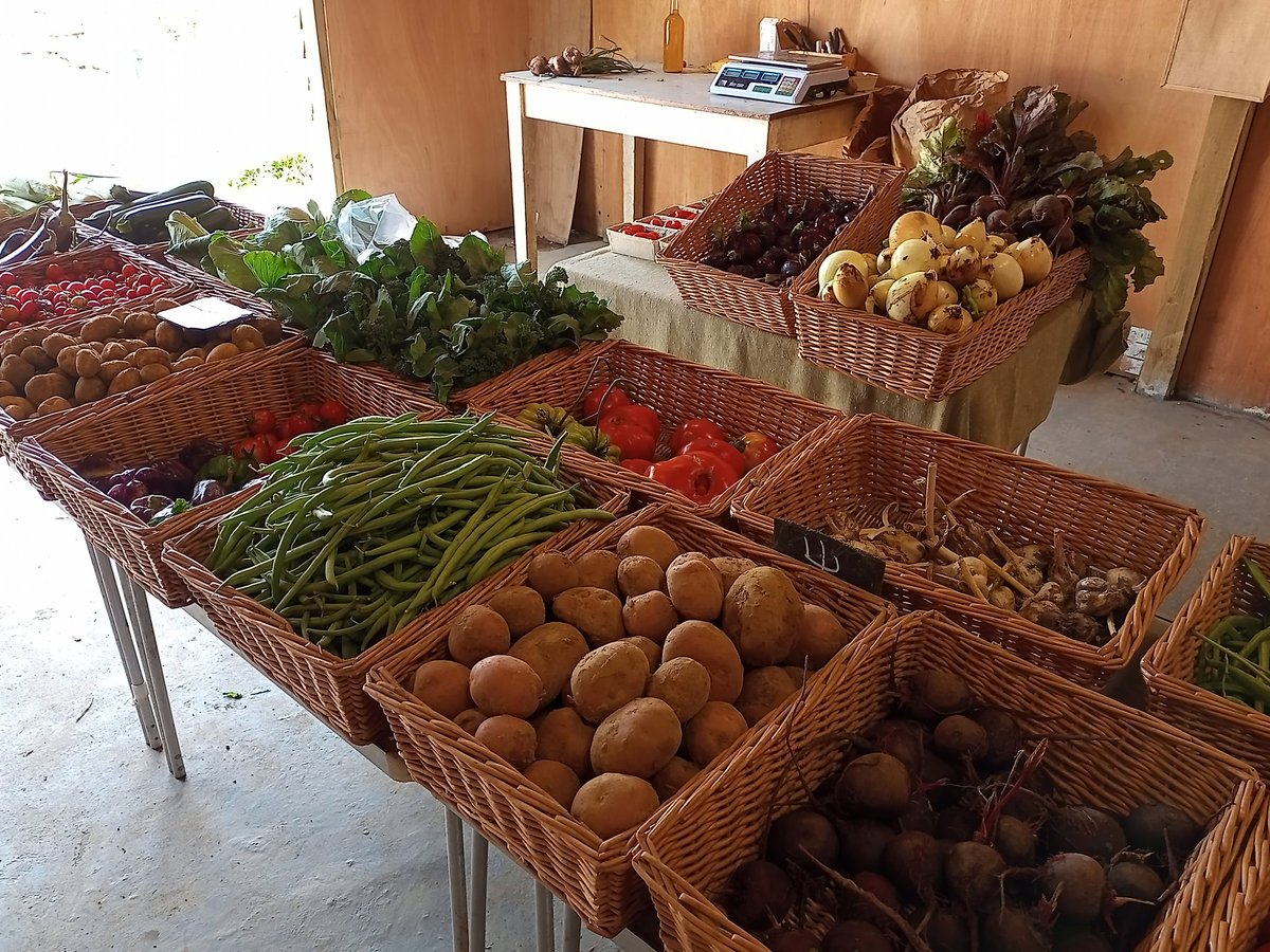Bothen Hill (@bothenhill) on Twitter photo Spent most of the morning getting rather damp harvesting #organicveg for sale at the farm gate tomorrow. All set up now, onto the next task. #Farm24 <a href="/FarmingCAN/">Farming CAN</a> <a href="/FarmersGuardian/">Farmers Guardian</a> #supportbritishfarmers Spent most of the morning getting rather damp harvesting #organicveg for sale at the farm gate tomorrow. All set up now, onto the next task. #Farm24 <a href="/FarmingCAN/">Farming CAN</a> <a href="/FarmersGuardian/">Farmers Guardian</a> #supportbritishfarmers