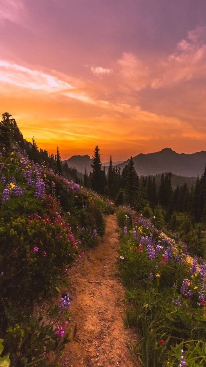 golden sunset