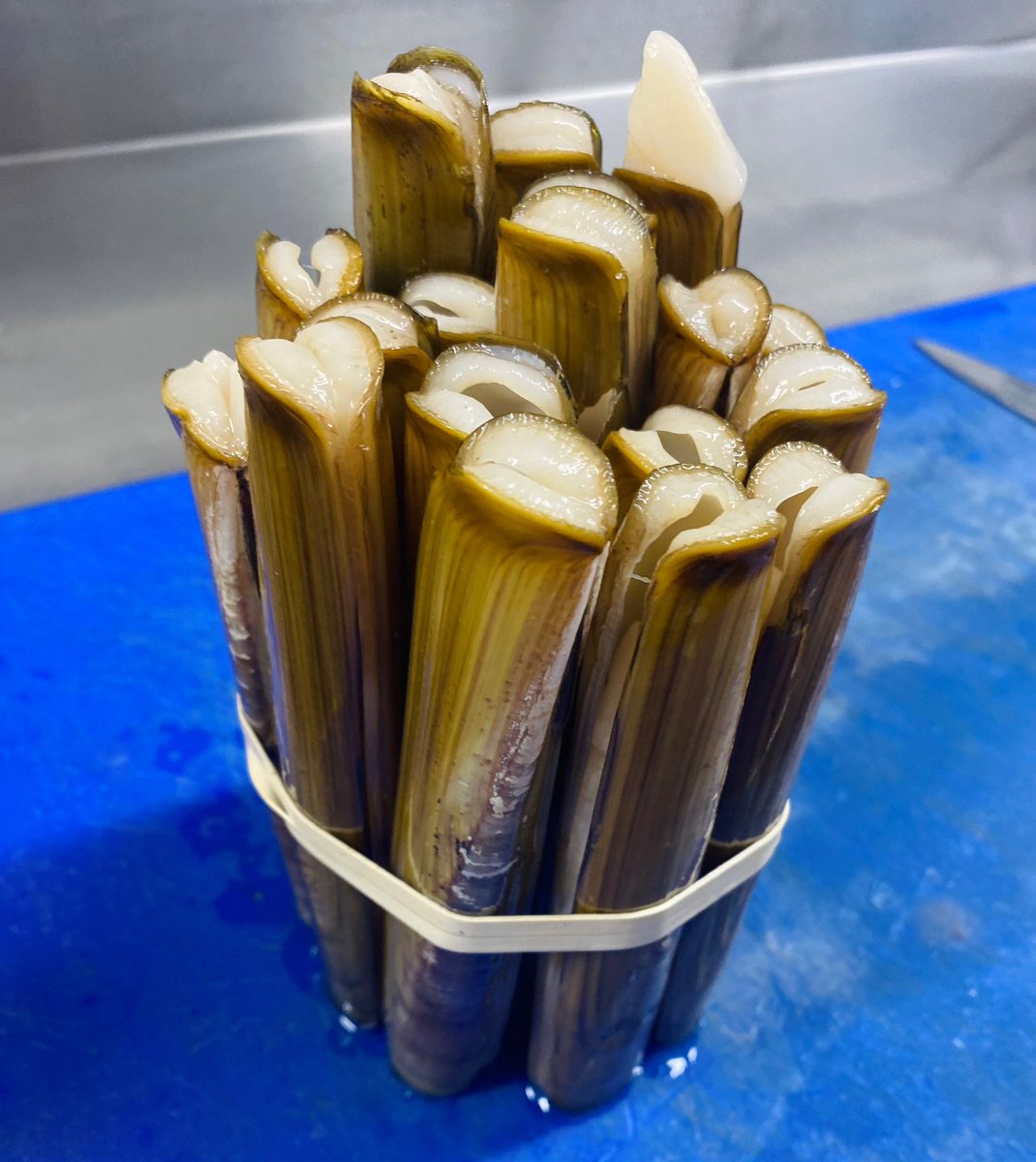 TheKentishHare's tweet photo. Just some of the wonderful seafood we have from our friends @theseathesea_ 

#food #seafood #seafoodlover #freshfood #razorclams #scallops #mussels #kent #kentrestaurant #top50gastropubs #michelinguide #thekentishhare https://t.co/47csii540M