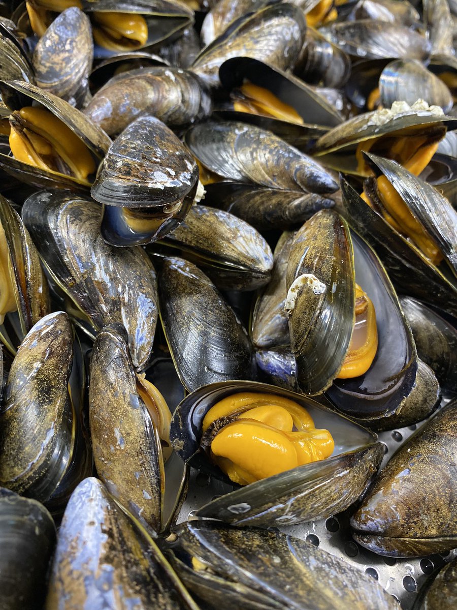 TheKentishHare's tweet photo. Just some of the wonderful seafood we have from our friends @theseathesea_ 

#food #seafood #seafoodlover #freshfood #razorclams #scallops #mussels #kent #kentrestaurant #top50gastropubs #michelinguide #thekentishhare https://t.co/47csii540M