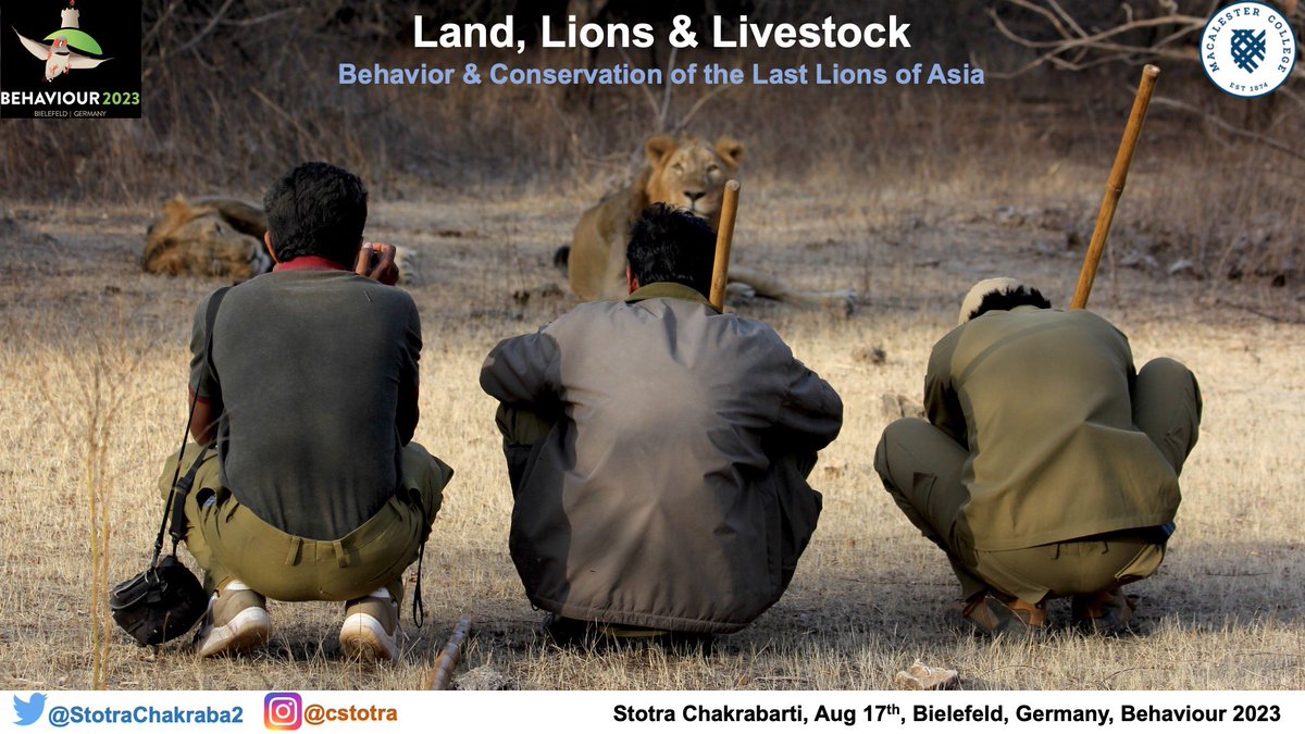 StotraChakraba2's tweet photo. Getting excited about my 1st plenary at a conference #Behaviour2023 😬 I will be there for the whole time (Aug 14-20) and would love to connect with Twitter-hive folks 🤩 looking forward to Bielefeld and nerding about #AnimBehav 🦁🐺🦌🦫 #AcademicChatter @ABCmicrogrants https://t.co/tSSsmZHWcW