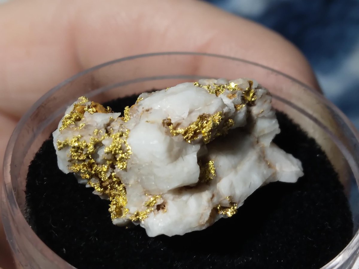 CavicoLaoMining's tweet photo. Gold  today - Goal tomorrow !!
#GOLD #nickel #cavico #cavicoLao https://t.co/3akQqk2wpK
