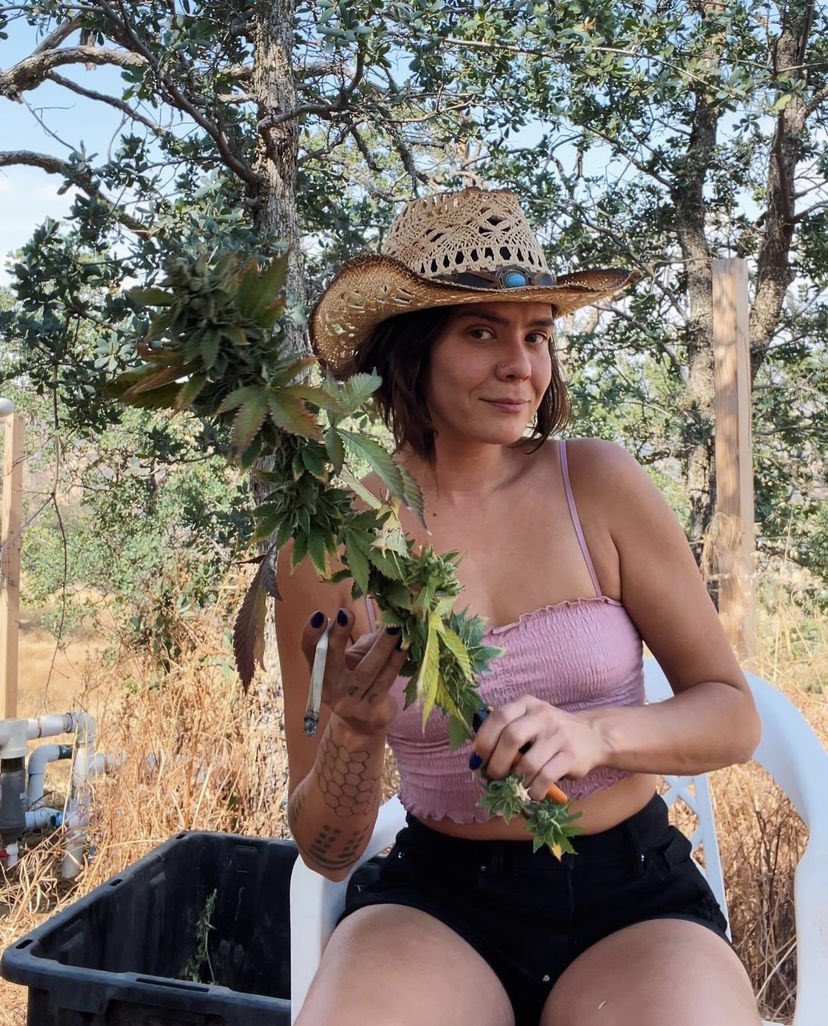 Limpee3's tweet image. Good morning…
😃 #trippyartwork #japan #abstract #lineart #trippyvibes #abstractart #psicodelia #acrylic #explorepage #StonerFam #stonermom #indica #sativa #weedthailand