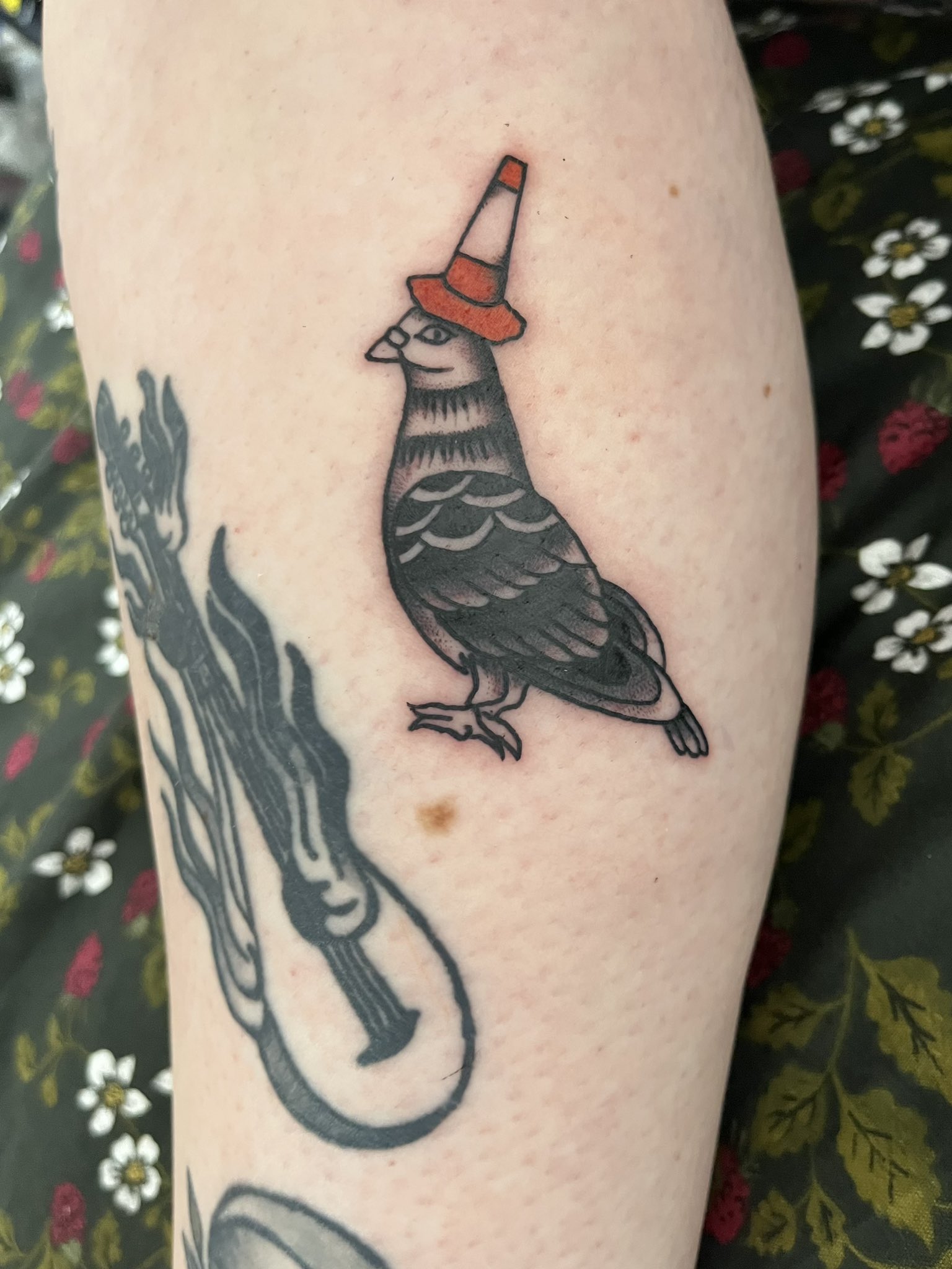 Fresh pigeon by Caitlin Feuerbach at Lucky's Tattoo in Cambridge, MA! : r/ tattoos