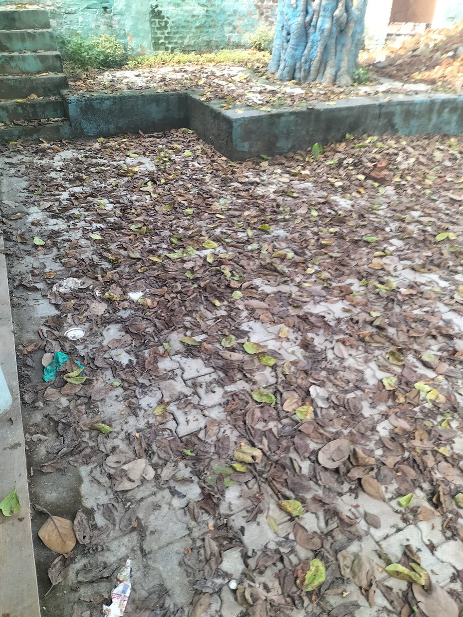 HappyRa28021228's tweet photo. @cmohry @anilvijminister      Respected Sir
These are the pictures and video of   choupal and Panchayt Ghar of Village Pabana Hassanpur, Karnal in which there is glimpse of the Swachhata Abhiyan ,lot's of time we  talking about the concerned persons but no action is taken till. https://t.co/WmfyYdJGwb