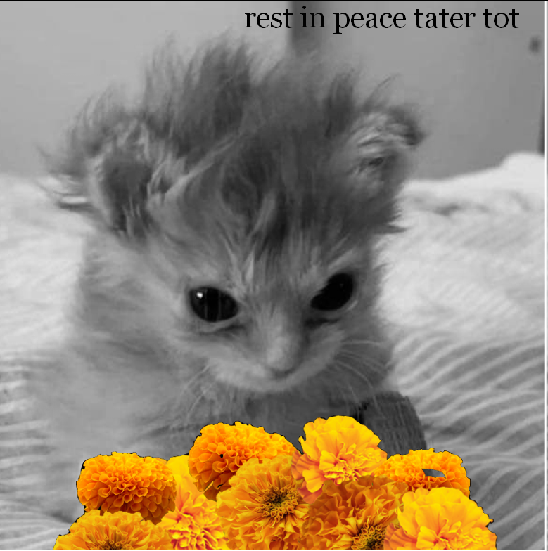 r rest in pease tater tot....u fought so hard.... nd u now deserve 2 res t.....