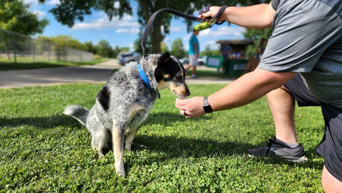 Cent-Wash Parks tweet media