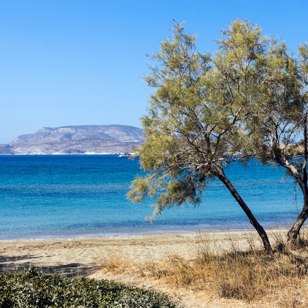 TREKKINGHELLAS's tweet photo. Σήμερα ταξιδεύουμε στο "Νησί του Ήλιου"! 🌞
Η Σχοινούσα προσφέρει μια όαση φυσικής ομορφιάς και έναν αυθεντικό τρόπο ζωής που σίγουρα θα σε μαγέψει!
Μάθε περισσότερα στο #NewBlogPost: https://t.co/D5aoZ3WeA4
#TrekkingHellas #Schinoussa https://t.co/9huhEWnFat