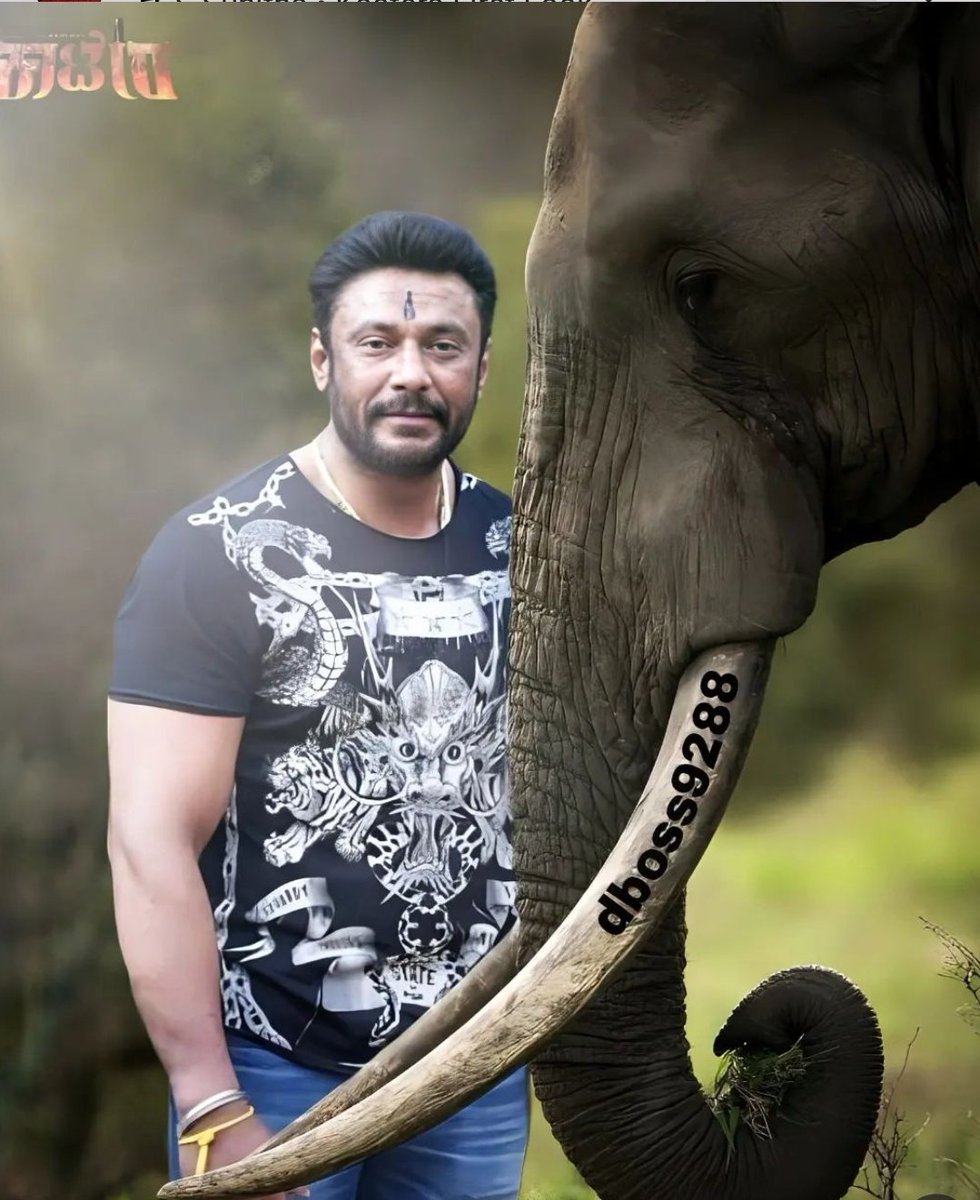 BOX OFFICE SULTAN D BOSS tweet media
