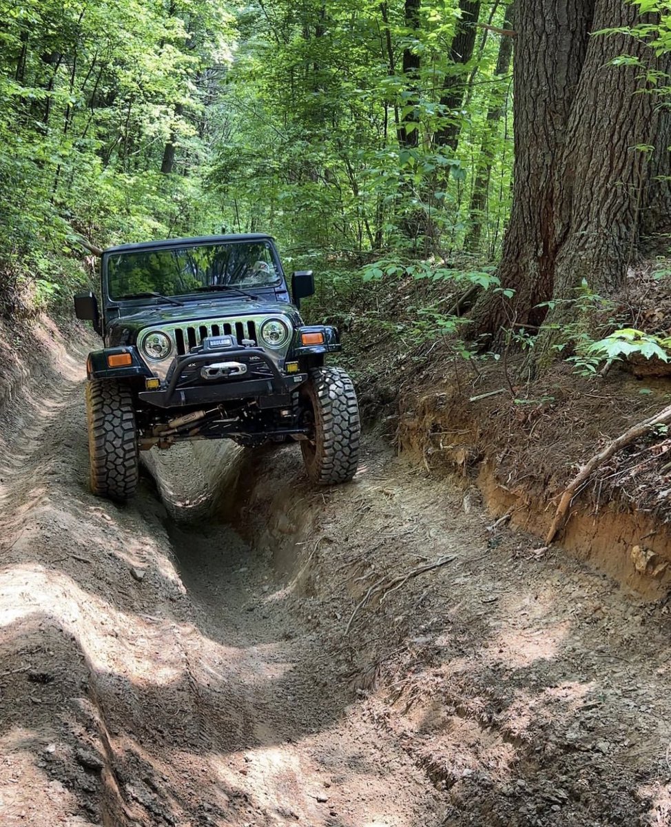 SevenSlotSociety tweet media