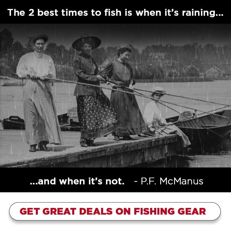 MammothNationUS's tweet photo. We have some amazing hunting and fishing companies who share your CONSERVATIVE values.
https://t.co/DRLDLjq6eV
#Hunting #Fishing #ShopToTheRight #Angler #Outdoors #Camping #MammothNation https://t.co/EJlkQMiD3m
