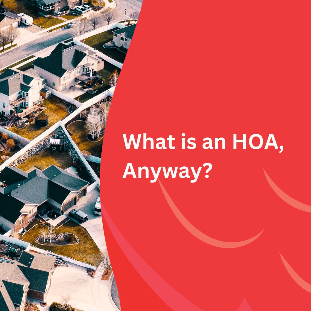 boardline's tweet photo. Let us help you understand all the ins and out of an HOA. https://t.co/VpRRynHMdi