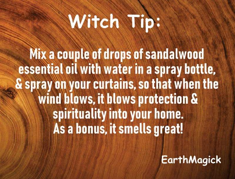WitchBackwoods's tweet photo. https://t.co/62NE9Tkoxd
