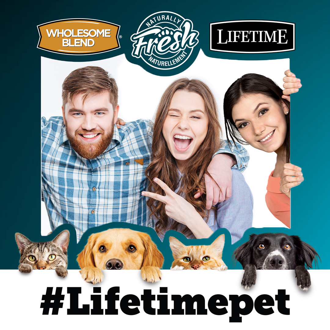 ASAdvertising's tweet image. Looking for a fun and interactive way to boost your social media presence? Branded cutout frames are a great option and perfect for tradeshows!

#socialmediapresence #tradeshows #pijac #brandedmaterials #cutoutframe #petfood