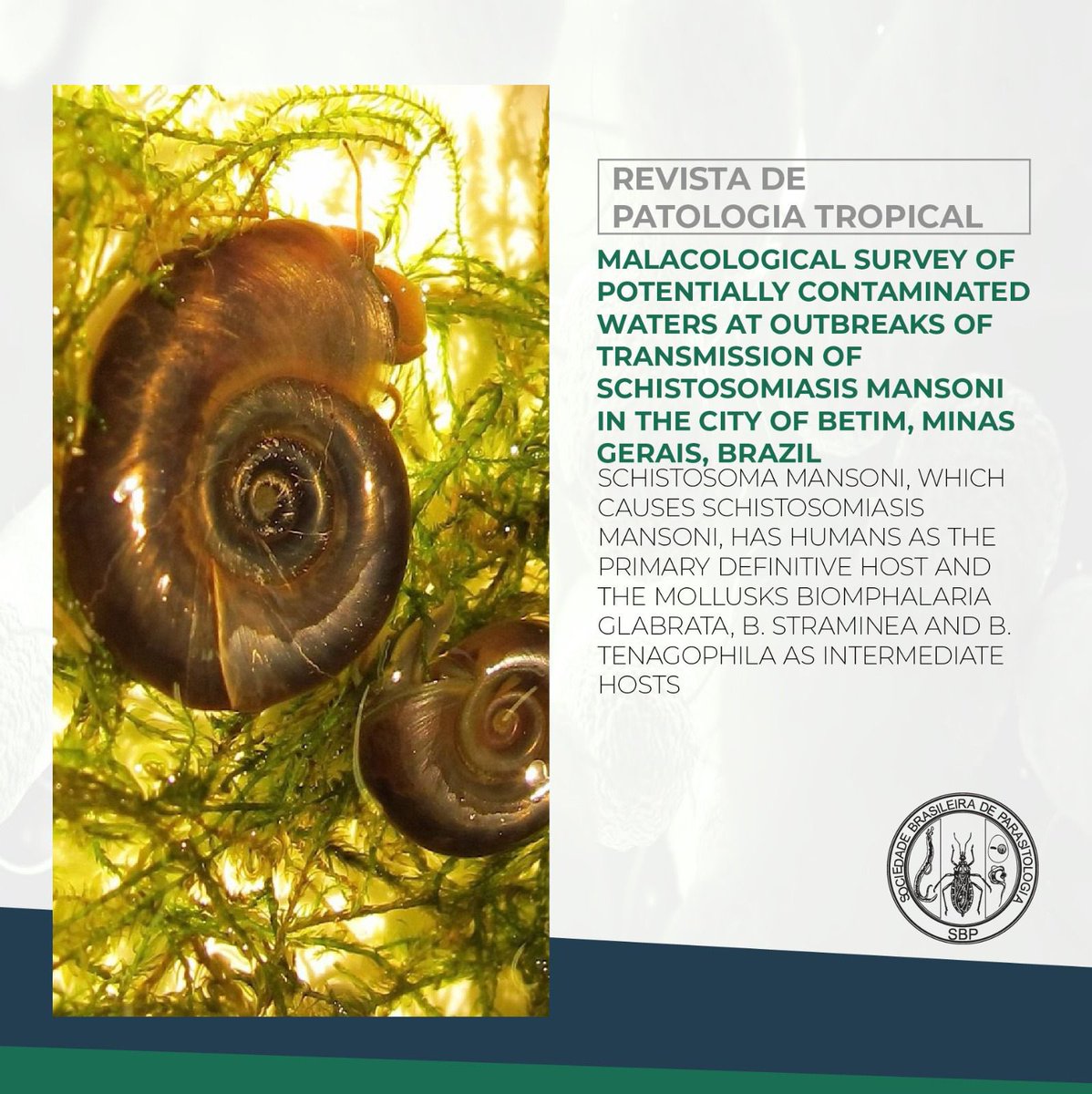 Confira o artigo “Malacological survey of potentially contaminated waters at outbreaks of transmission of schistosomiasis mansoni in the city of Betim, Minas Gerais, Brazil” na Revista de Patologia Tropical.

Acesse: revistas.ufg.br/iptsp/article/…

#publicacao 
#parasitologia 
#parasito