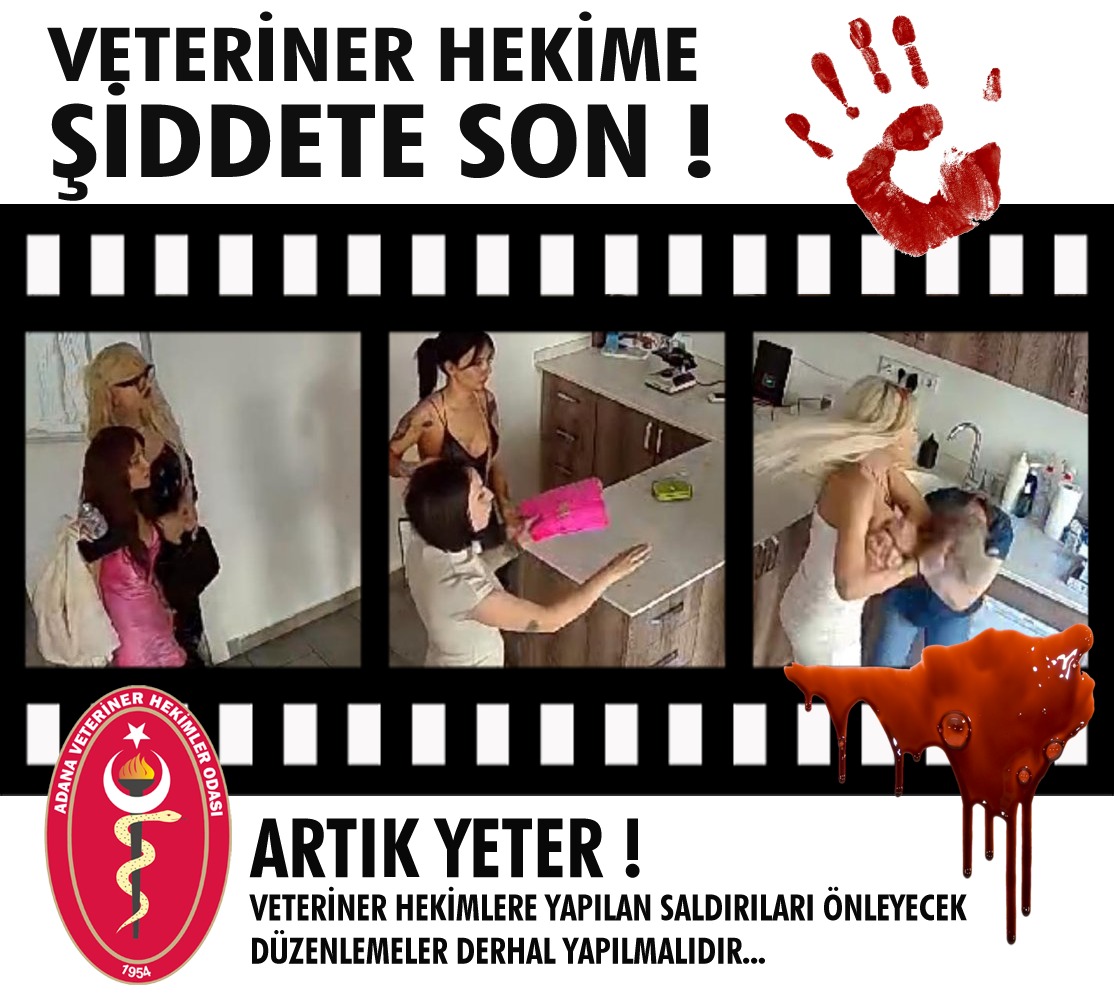 adanavho's tweet photo. Ankara'da görevi esnasında hasta sahibi tarafından meslektaşımıza yapılan menfur saldırıyı şiddetle kınıyor,geçmiş olsun dileklerimizi iletiyoruz. https://t.co/lZQYHNT2XI