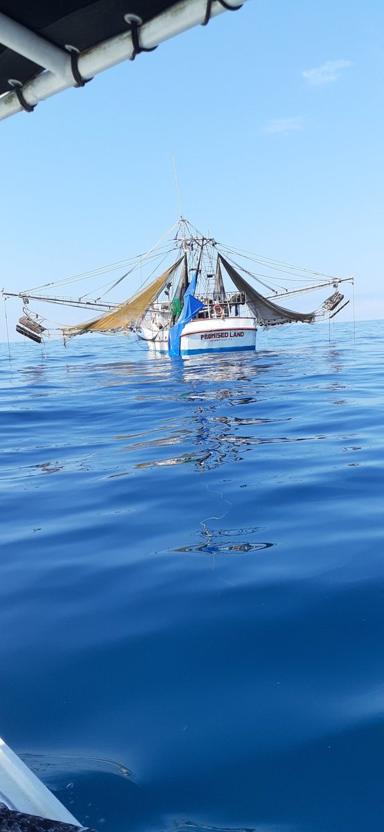 SteveQualia's tweet photo. Went offshore yesterday.  Saw the High Plains Drifter, then later actually saw the Promised Land.  I was kinda worried it was some sort of 'sign's.  But made it back to shore and here today, so I guess it is all good! https://t.co/cYV4wN8vGv