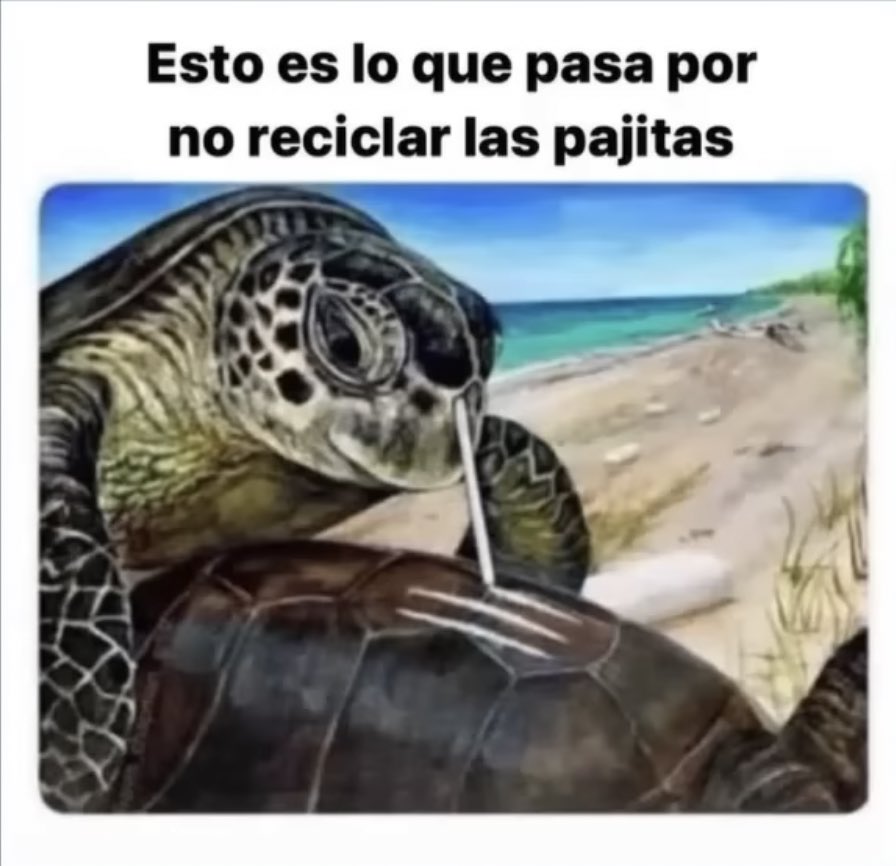 DevoraCo (@devoraconos51) on Twitter photo 