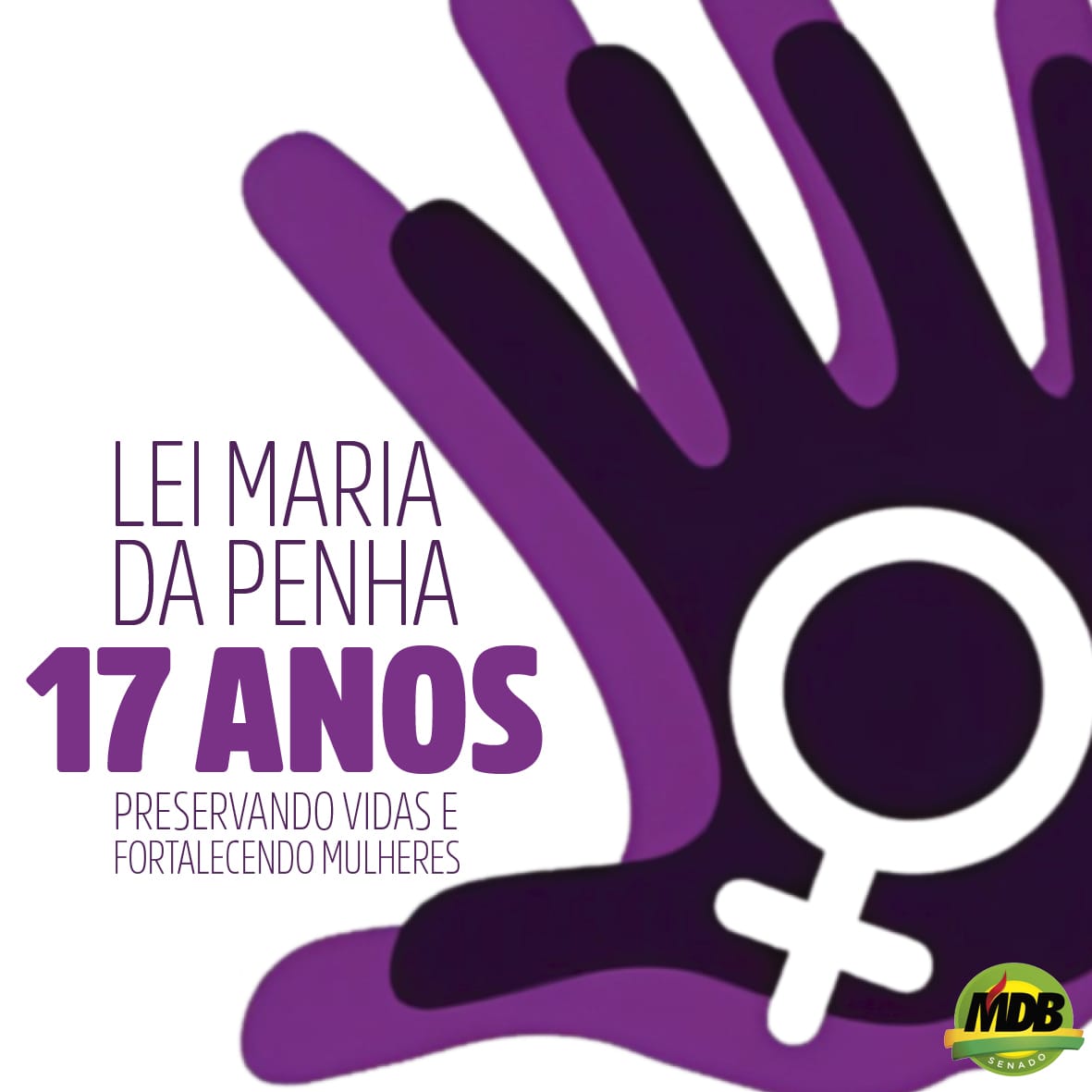 Há muito o que se comemorar, mas também existe a necessidade de aprimoramento da norma, garantindo mais direitos e segurança às mulheres. MDB está atento a isso! Nosso partido ajudou a criar essa legislação e continua trabalhando para que todas  possam viver em paz, sem violência