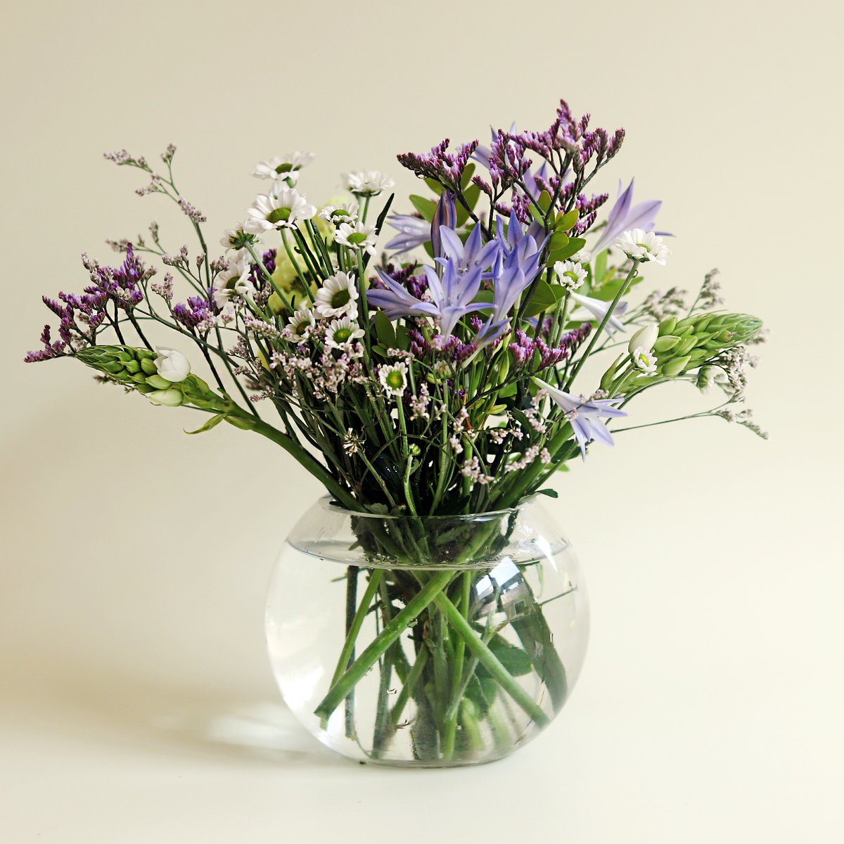 Our 'Wild' Posy has had a little makeover! Check out the latest posy, featuring beautiful Triplet Lilies (Triteleia), Ornithogalum, White Santini and more 🥰💙💐 Don't miss out! Only available for a couple more weeks. 

Gift today! bit.ly/3DFfDGj
