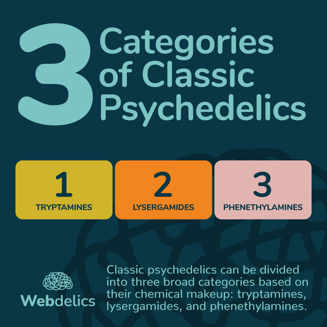 webdelics's tweet image. Tryptamines, lysergamides, and phenethylamines form a trippy trifecta within the psychedelic kingdom, each with unique, mind-expanding charm.⁣⁣
⁣⁣#sciencealert #science #psychedelics #webdelics #alteredstates #psychonaut