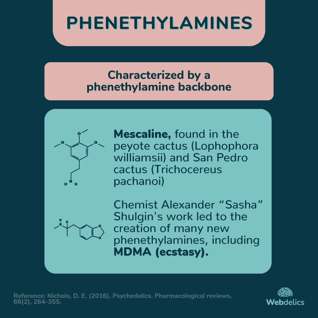 webdelics's tweet image. Tryptamines, lysergamides, and phenethylamines form a trippy trifecta within the psychedelic kingdom, each with unique, mind-expanding charm.⁣⁣
⁣⁣#sciencealert #science #psychedelics #webdelics #alteredstates #psychonaut
