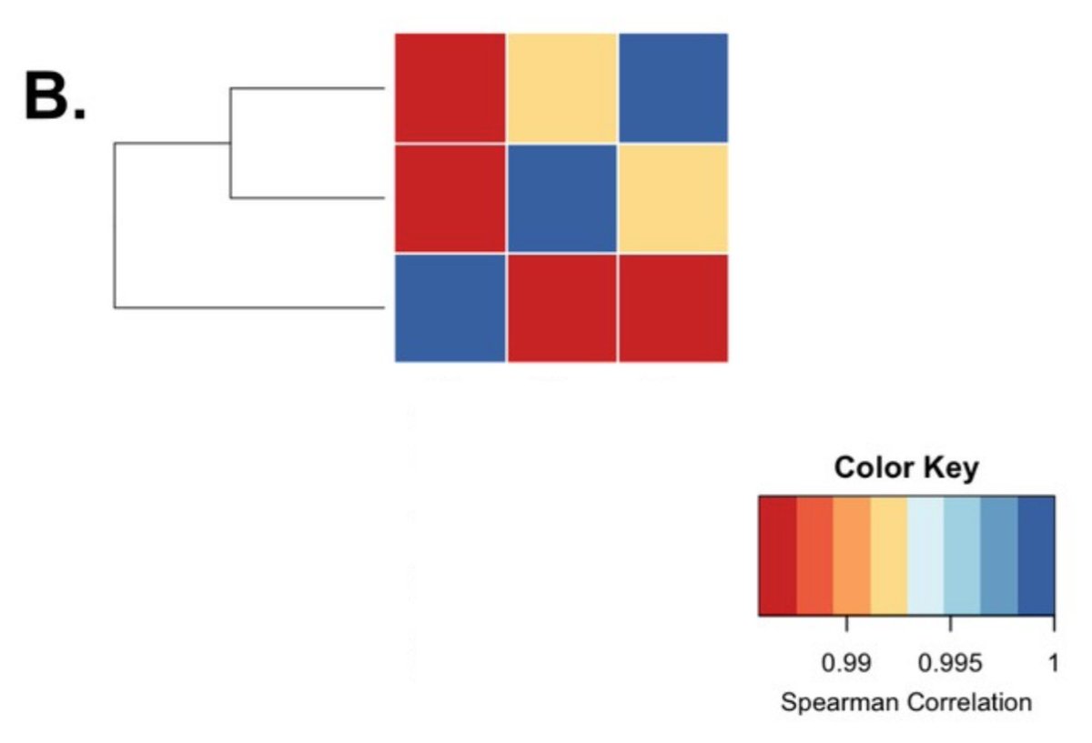 Nikos Papadopoulos tweet media