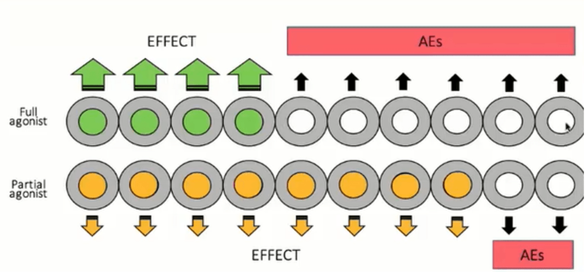 New 📰 to read!
The Emerging Role of #SigmaReceptors in #PainMedicine by Pergolizzi Jr J and Varrassi G
Read more ➡️bit.ly/3DFfNNV
<a href="/giuvarr/">giuvarr</a>