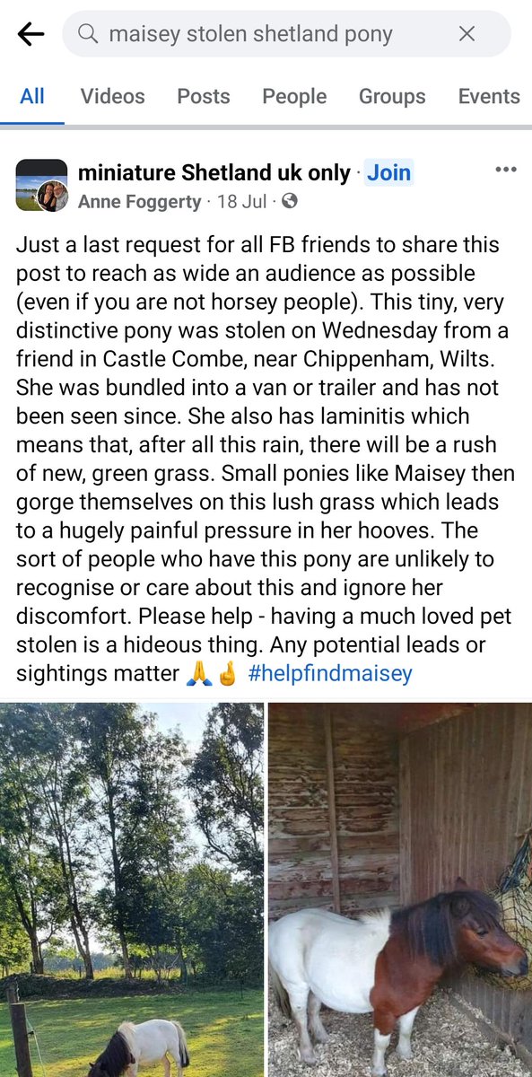 As seen on @BBCBristol #BBCPointsWest #HelpFindMaisey . Retweet as many times as possible.  @WiltsRuralCrime @wiltshirepolice  @wiltspoliceCC  Time the #police cracked down on #horsetheft #pettheft