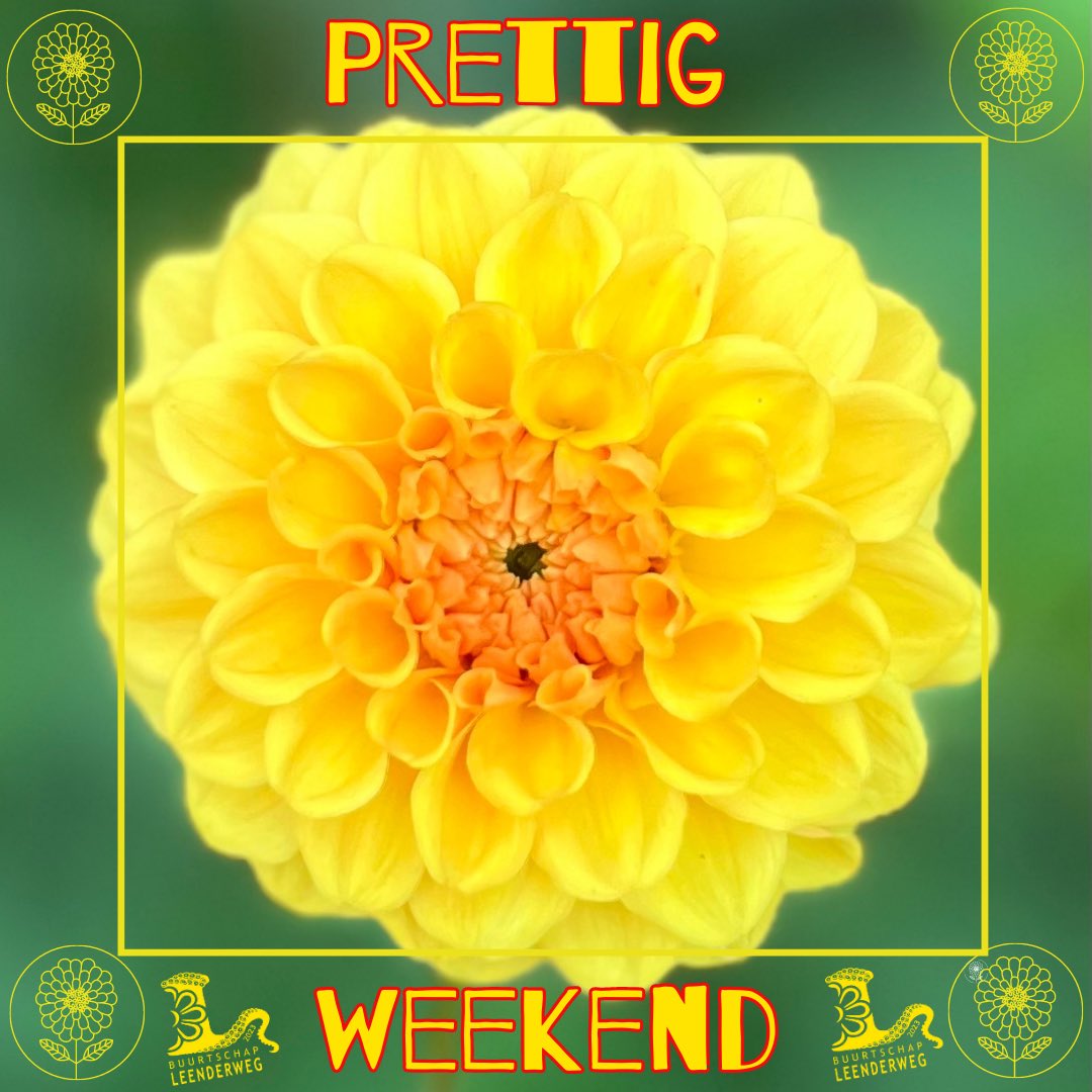 BS Leenderweg tweet media