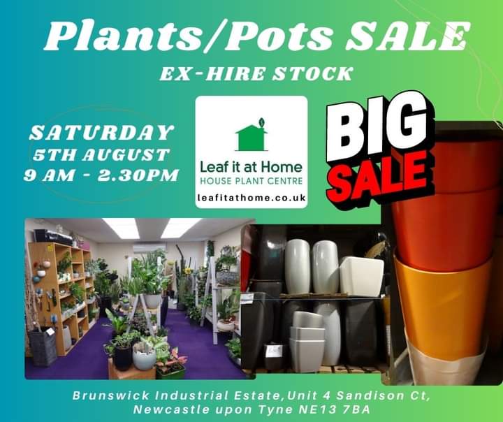 leafitstore's tweet photo. THIS Saturday 5th August 2023, 9am - 2.30pm. We are continuing our Big SALE of our ex hire live plants and pots. Here are some of the stock we have!

Looking forward to seeing you there! 😀💚
https://t.co/iXzzO2zJ6w

#newcastle #nefollowers #plantsale #houseplants https://t.co/GrcfvtMdnP