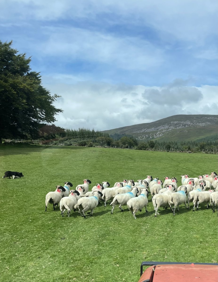 noelpwalsh's tweet image. Just to even see a glimpse of blue in the sky is rare these days. #bringbackthesummer