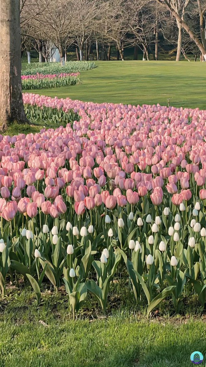 💚 guys kirimin foto cantik lucu dari pinterest gini dong, mau aku jadiin walpaper. TIA 🫶🫶🫶