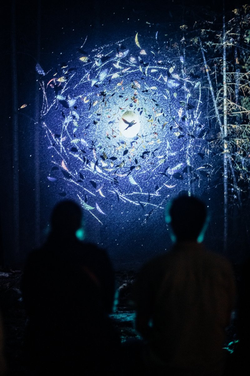 Moment Factory (@momentfactory) on Twitter photo 🌟 Akadi Lumina opens its doors at Le Pays de la <a href="/sagouine/">Le Pays de la Sagouine</a> today!
When night falls in Bouctouche, Akadi Lumina comes to life as an enchanted night walk into the heart of the vibrant Acadian culture.
momentfactory.com/news/akadi-lum… 🌟 Akadi Lumina opens its doors at Le Pays de la <a href="/sagouine/">Le Pays de la Sagouine</a> today!
When night falls in Bouctouche, Akadi Lumina comes to life as an enchanted night walk into the heart of the vibrant Acadian culture.
momentfactory.com/news/akadi-lum…