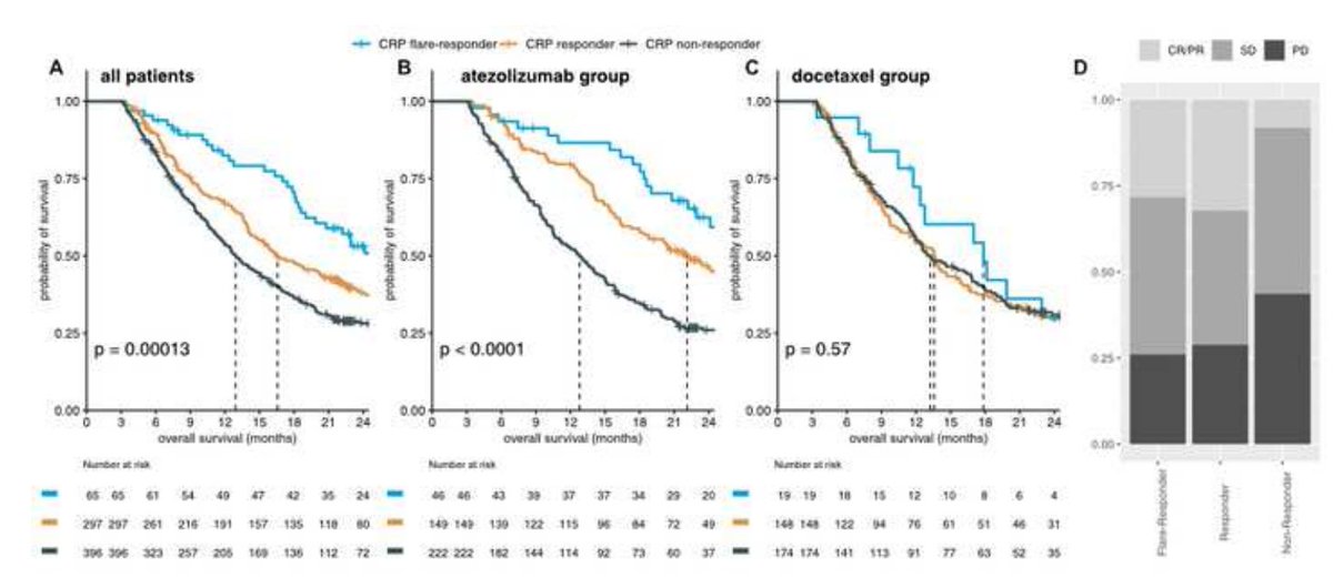 Longitudinal CRP kinetics predicts immunotherapy response in NSCLC! First validation of CRP kinetics in Phase III clinical trial. Great cost-efficient and easy-to-implement tool for therapy monitoring <a href="/niklas_kluemper/">Niklas Klümper</a> <a href="/saal_jonas/">Jonas Saal</a> <a href="/IEO_Bonn/">IEO_Bonn</a> <a href="/UniBonn/">Rheinische Friedrich-Wilhelms-Universität Bonn</a>
Read: bit.ly/3WgZgs3