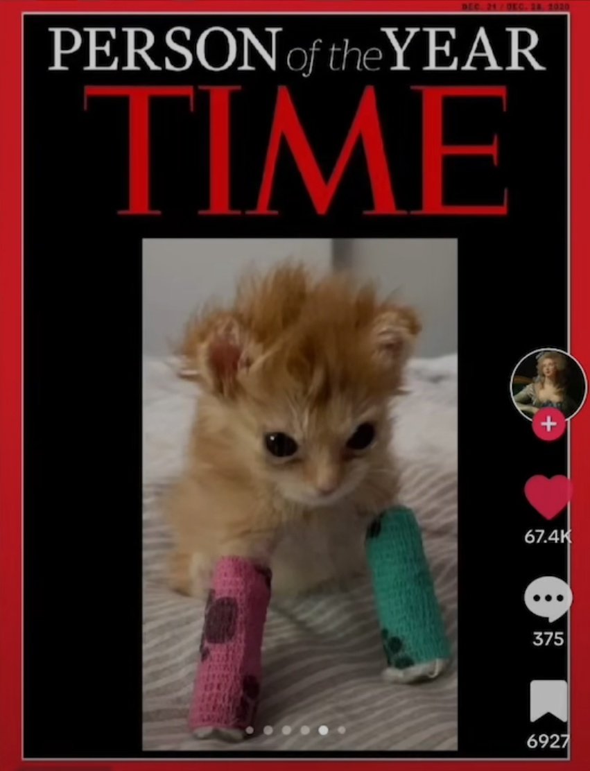 🏳🌈Experiment⭐🧣❄ tweet media