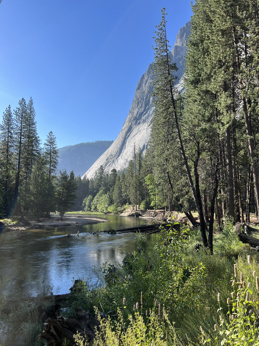 Not a bad view to go with my morning coffee ☀️