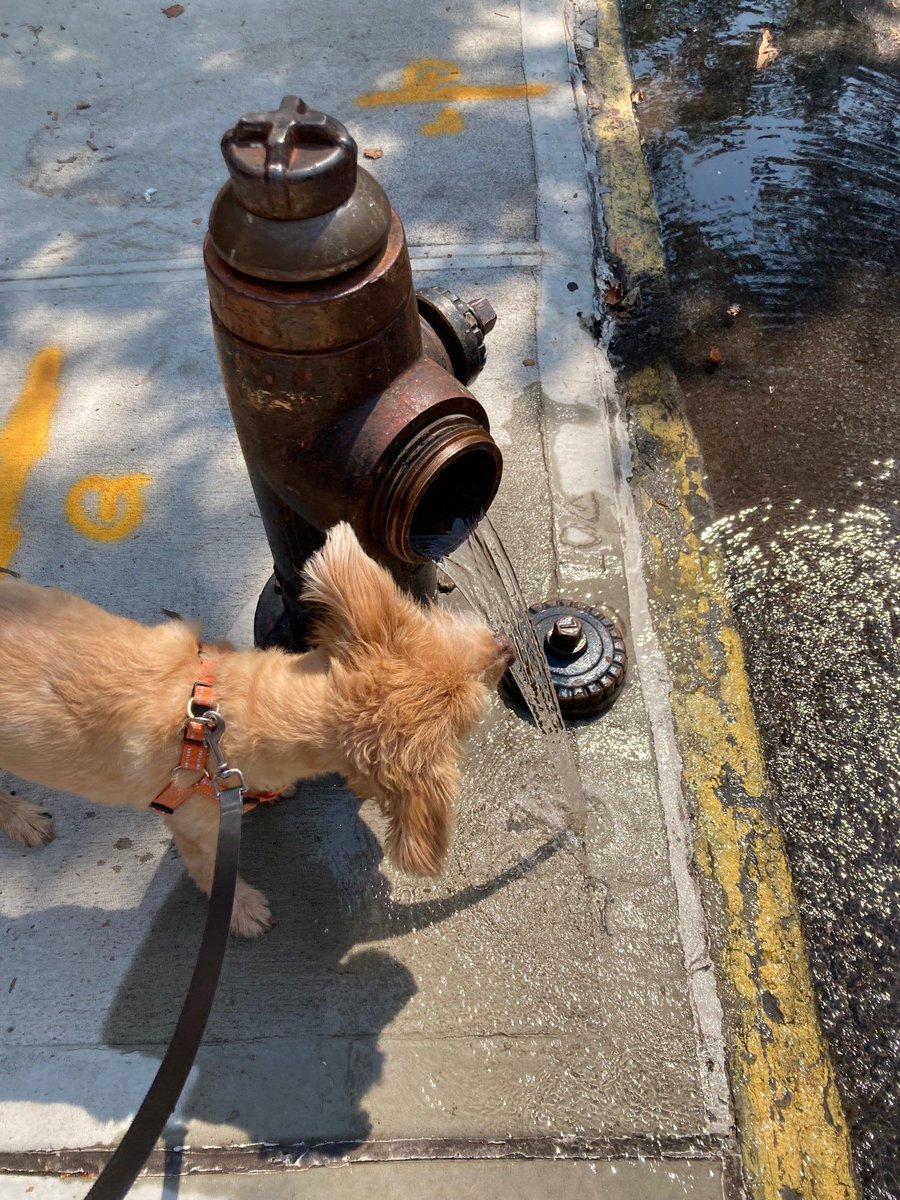 Kate Mooney tweet media