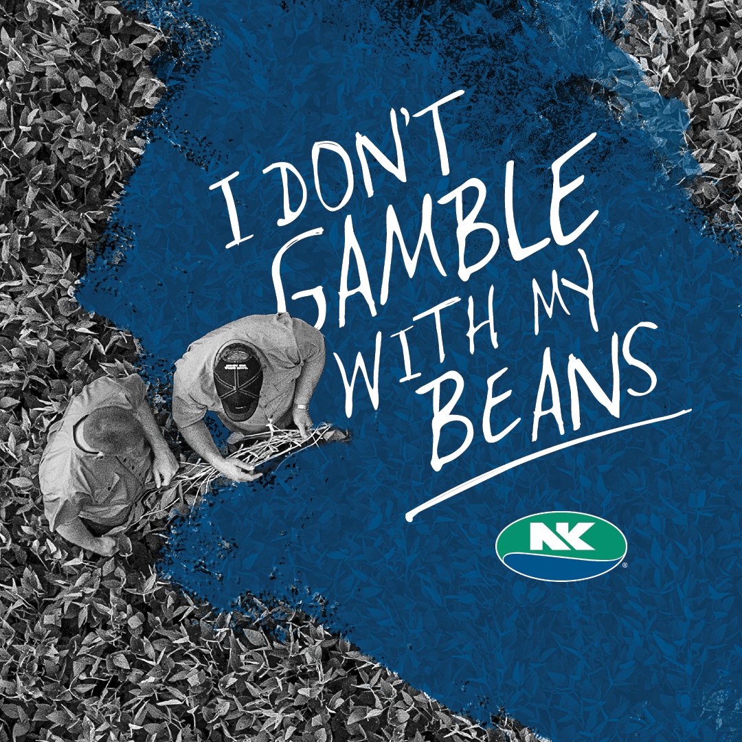 I Don't Gamble With My Beans.
I’m not leaving anything up to chance. I need soybean genetics and trait options that I trust to outperform. Every. Single. Season. 
#NKSeeds #NKSoybeans #WhyNK #NKClassof24