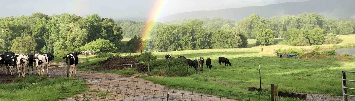 dfamilk's tweet photo. It's #NationalGeorgiaDay and we’re celebrating more than just peaches!  

Georgia is home to many of our dedicated family farm-owners, like the Millican family of Long Hollow Dairy Farm!   

Learn how their #DFAMilk goes into @MayfieldDairyCo  products >> https://t.co/CPTBn5509i. https://t.co/eDm3Fnjm4O